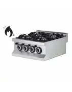 Friteuse & Chauffe Sauce Collectivité | Matériel Restauration Pro