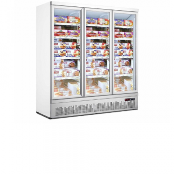 CONGÉLATEUR DE SUPERMARCHÉ